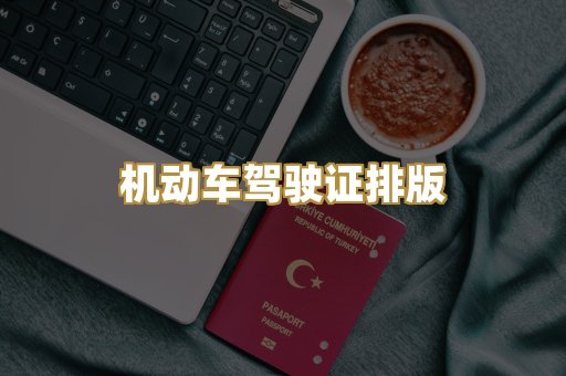 机动车驾驶证排版